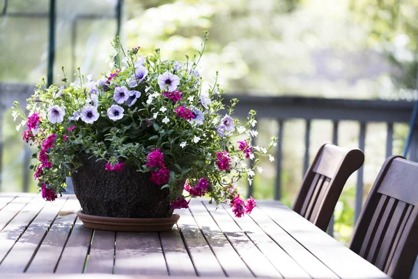 Petunia Cesto su Tavoli — Foto Stock