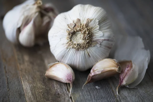 Stäng upp huvudet av vitlök — Stockfoto