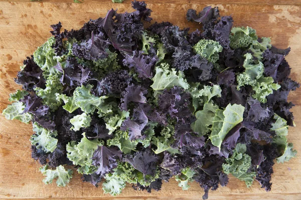 Fresh Green and Purple Curly Kale — Stock Photo, Image