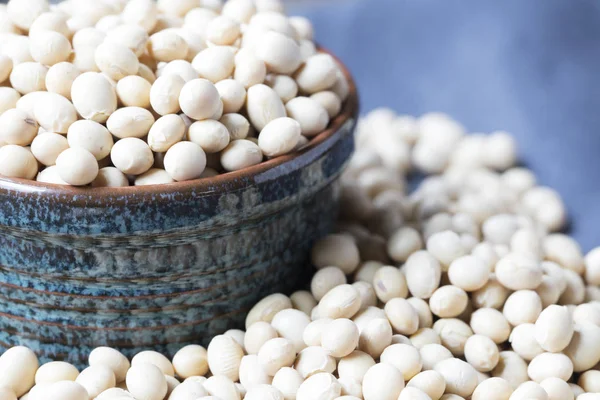 Close-up of Soybeans — Stock Photo, Image