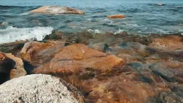 Junto Lago Con Pequeñas Olas — Vídeo de stock