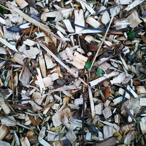 Texture Small Wood Chips Ground — Stock Photo, Image