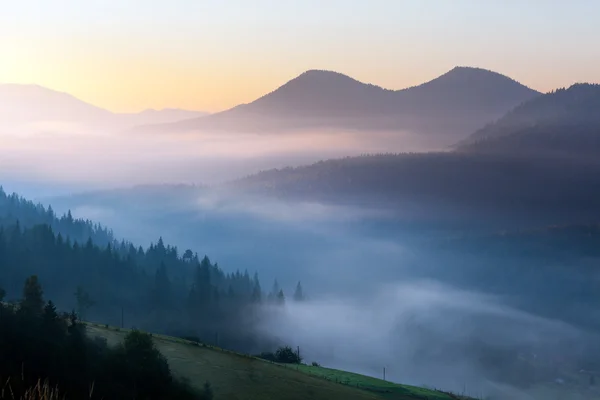 Schöne neblige Landschaft in den Bergen. fantastischer Morgen, der vom Sonnenlicht erstrahlt. — Stockfoto