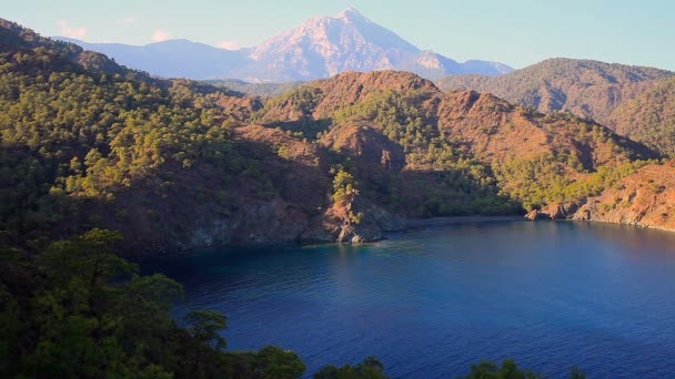 Bovenaanzicht van de kuststreek van baai Cirali met groene bomen, Turkije — Stockvideo