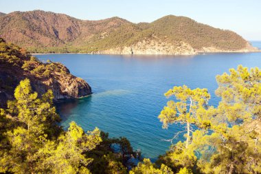 Akdeniz kumsalda. Çıralı, Türkiye.