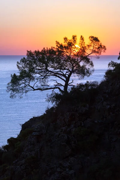 Colorato mare spiaggia alba. Olympos Beach, Cirali, Turchia — Foto Stock