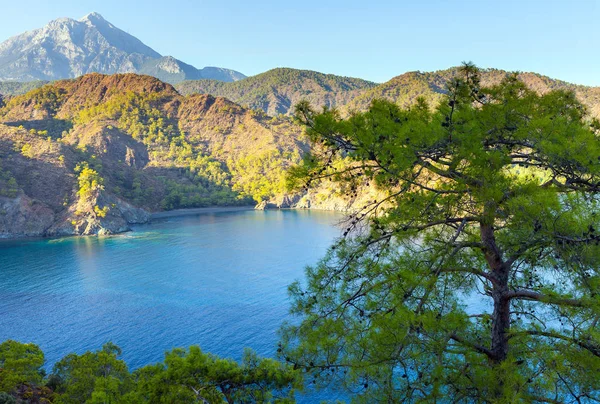 Olympos Dağı, plaj yeşil orman Türk manzara