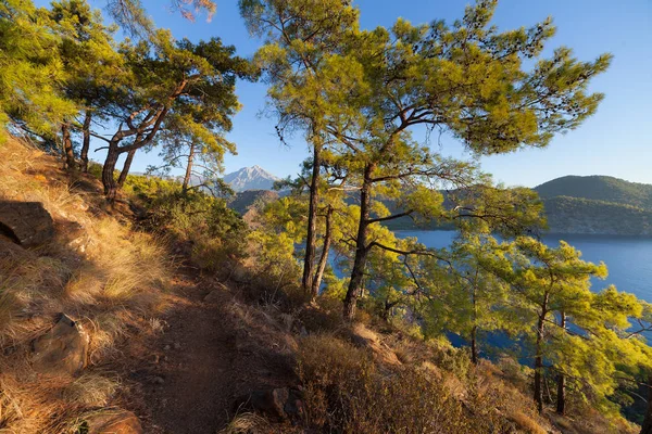 Paesaggio turco con Olympos montagna, spiaggia verde foresta — Foto Stock
