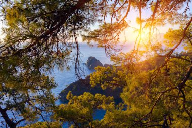 Türk manzara, yeşil orman ile plaj