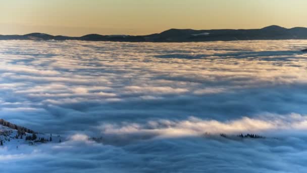 Dichte mist rollen door de Karpaten. winterlandschap. — Stockvideo