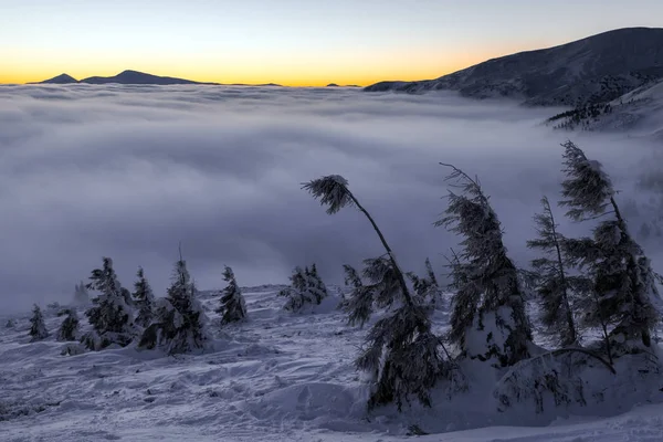 冬天山上的 snovy 树. — 图库照片