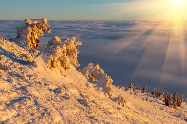 Zon over winter bergen, bedekt met sneeuw. — Stockfoto