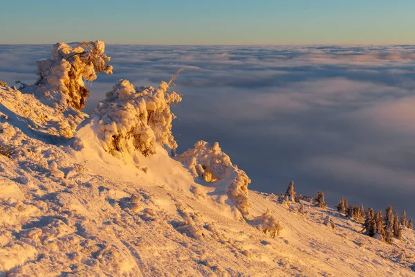 Зимний пейзаж Карпат, горы Европы, удивительный мир . — стоковое фото