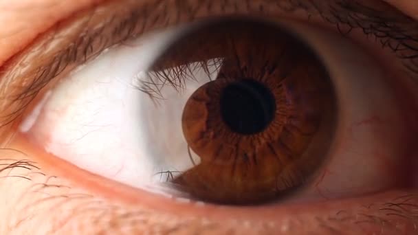 Makroaufnahme eines männlichen Auges.