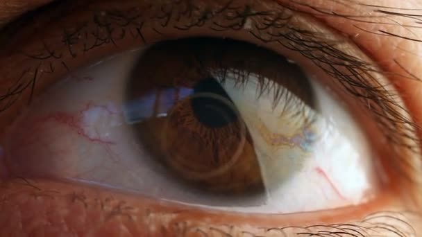 Makro snímek mužské oko. — Stock video