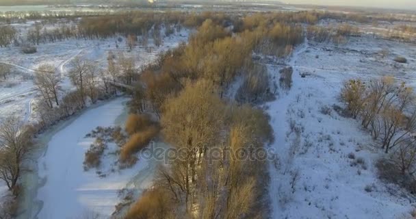 Widok z lotu ptaka. Lot nad piękny zimowy rzeki i lasu. Natura w zimie. Panorama pejzaż. Ukraina — Wideo stockowe