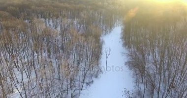 Havadan görünümü. Güzel kış nehir ve orman üzerinde uçuş. Kış doğada. Manzara panorama. Ukrayna