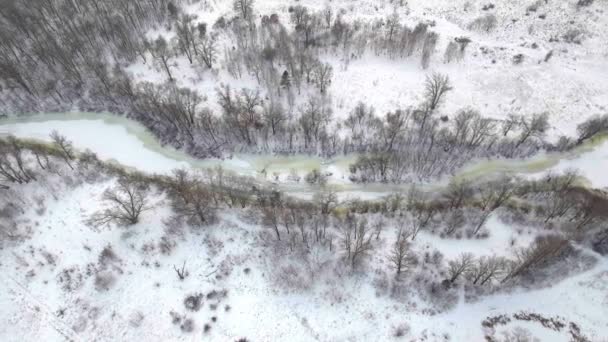 Vista aérea. Vuelo sobre el hermoso río de invierno y el bosque. Naturaleza en invierno. Paisaje panorámico. Ucrania — Vídeo de stock