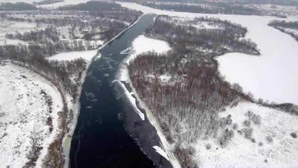 Vista aerea. Volo sopra il bellissimo fiume invernale e la foresta. Natura in inverno. Panorama paesaggistico. Ucraina — Video Stock
