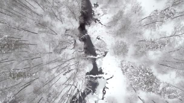 AERIAL: Misty River in winter — стоковое видео