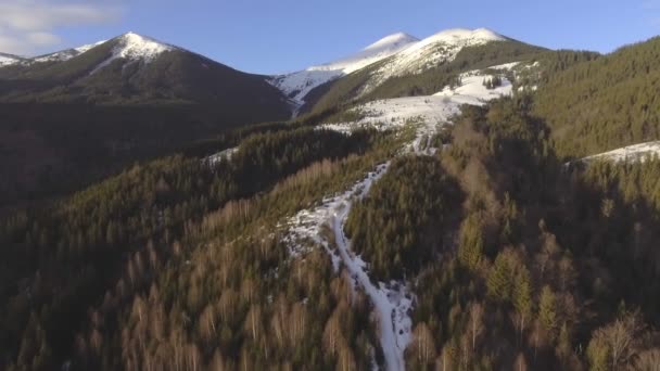 Flygfoto. Flygande över vackra mountain River och vackra skog. — Stockvideo