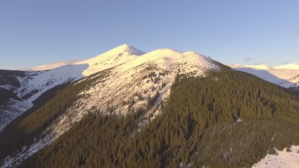 Voando perto de montanhas rochosas cobertas de neve — Vídeo de Stock