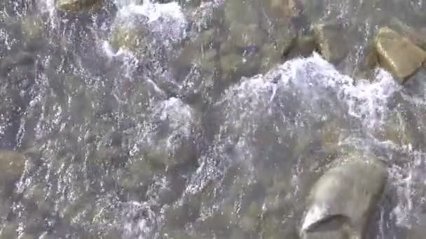 Eau de ruisseau de montagne coulant rapidement cascade de rivière — Video