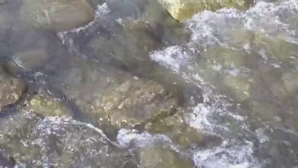 Água do riacho da montanha que flui rapidamente em cascata fluvial — Vídeo de Stock