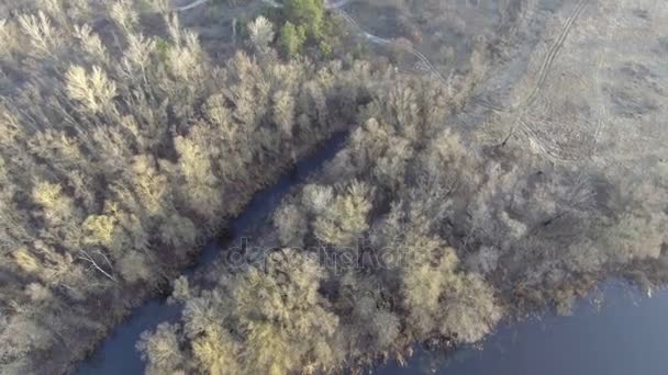 Voando sobre o belo Rio e Floresta. Fotografia da câmara aérea . — Vídeo de Stock