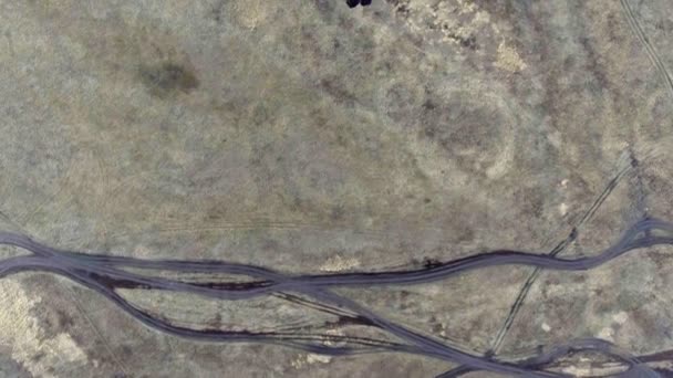 Vol aérien au-dessus de l'oreille noire 