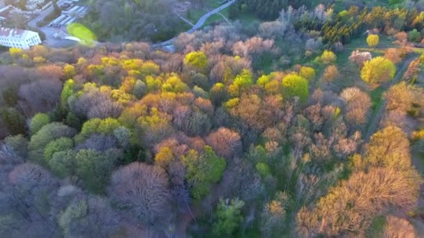 Guida rurale panoramica tra gli alberi con colori autunnali mozzafiato . — Video Stock