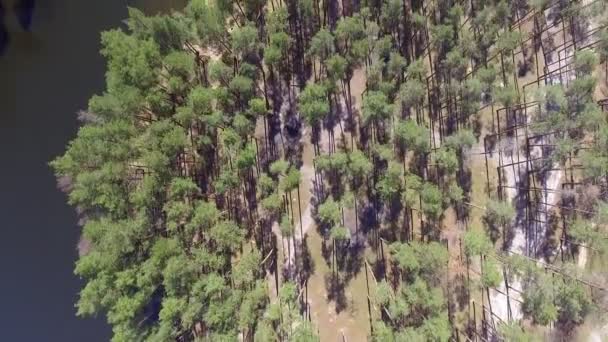 Imagens de drones aéreos 4K acima floresta floresta árvore floresta parque natureza ao ar livre — Vídeo de Stock