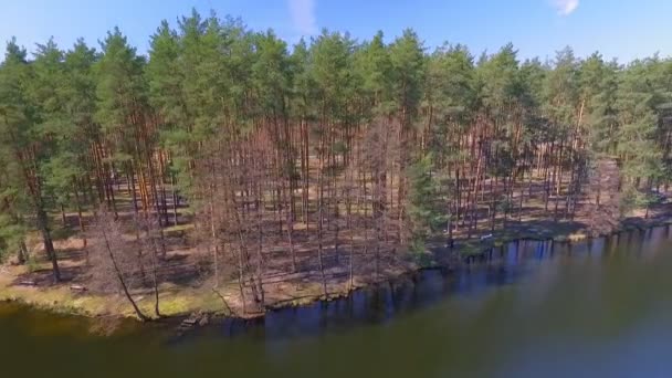 Aerial View. Flying over the beautiful forest trees. Aerial camera shot. — Stock Video