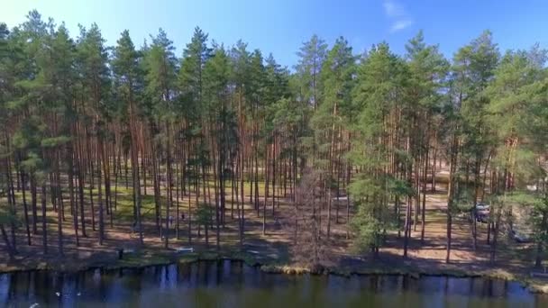 Luchtfoto. Vliegen boven de bomen prachtige bos. Luchtfoto camera schot. — Stockvideo