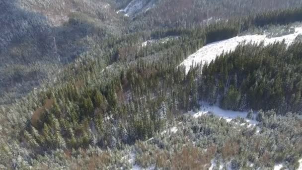 Luchtfoto. Prachtig sneeuwlandschap. Vliegen over bomen bedekt met sneeuw. — Stockvideo