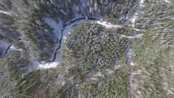 Luchtfoto. Prachtig sneeuwlandschap. Vliegen over bomen bedekt met sneeuw. — Stockvideo