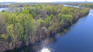 Bahar ağaçlar üzerinde uçan