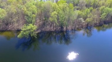 Bahar ağaçlar üzerinde uçan