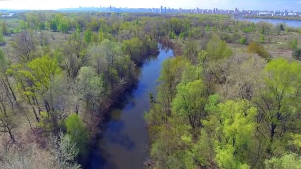 Survoler les arbres de printemps — Video