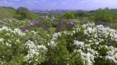 Havadan görünümü. Hryshko Ulusal Botanik Bahçesi. Kiev, Ukrayna.