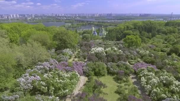 Widok z lotu ptaka. Hryshko Narodowy ogród botaniczny. Kijów, Ukraina. — Wideo stockowe