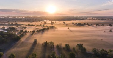 Ağaç başında kırsal kırsal kesimde sis ile hava gündoğumu