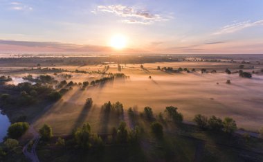 Ağaç başında kırsal kırsal kesimde sis ile hava gündoğumu
