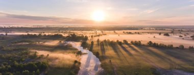 Ağaç başında kırsal kırsal kesimde sis ile hava gündoğumu