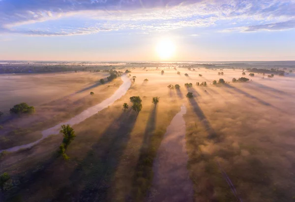 Повітряний схід сонця з туманом на вершинах дерев у сільській місцевості — стокове фото