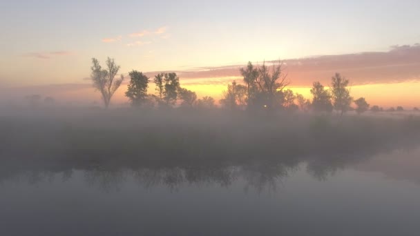 Anteni: Misty ilkbaharda toprak. 4k — Stok video