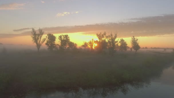 Antenne: Nebel im Frühling — Stockvideo