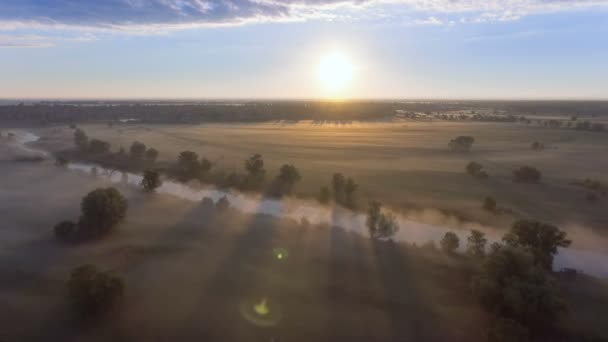 Vista aérea del amanecer sobre el campo en la niebla — Vídeos de Stock