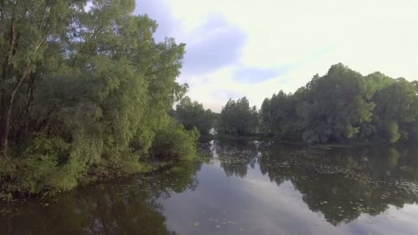 Aerial view of the river — Stock Video