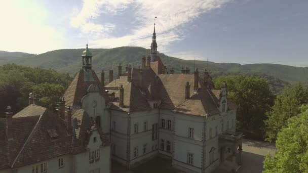 飞越 Shenborn 城堡，乌克兰. — 图库视频影像